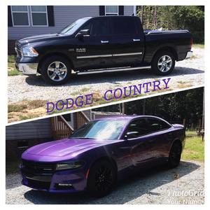 Meet your Posher, Robin